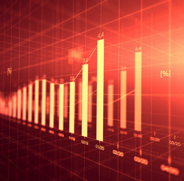 ECONOMISTS PREDICT INFLATION WILL REMAIN ELEVATED