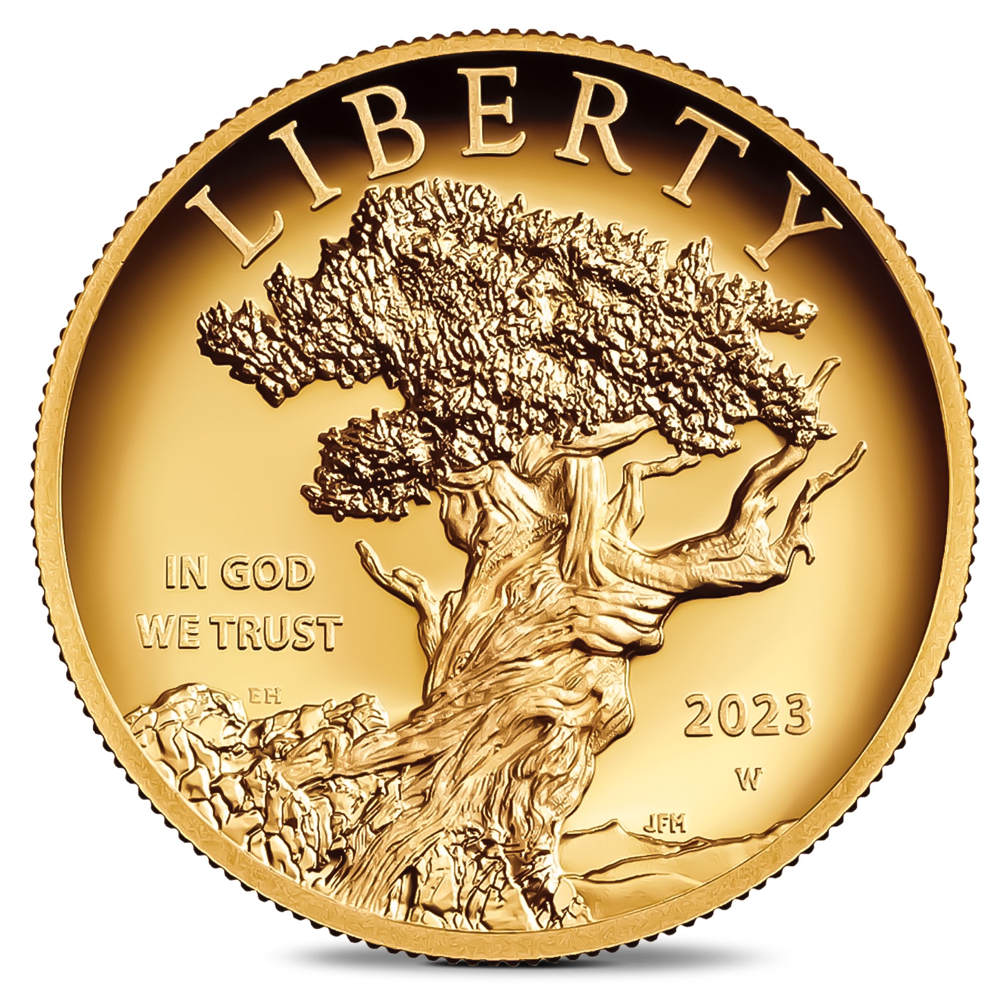 American Liberty 2023 High Relief Gold Coin