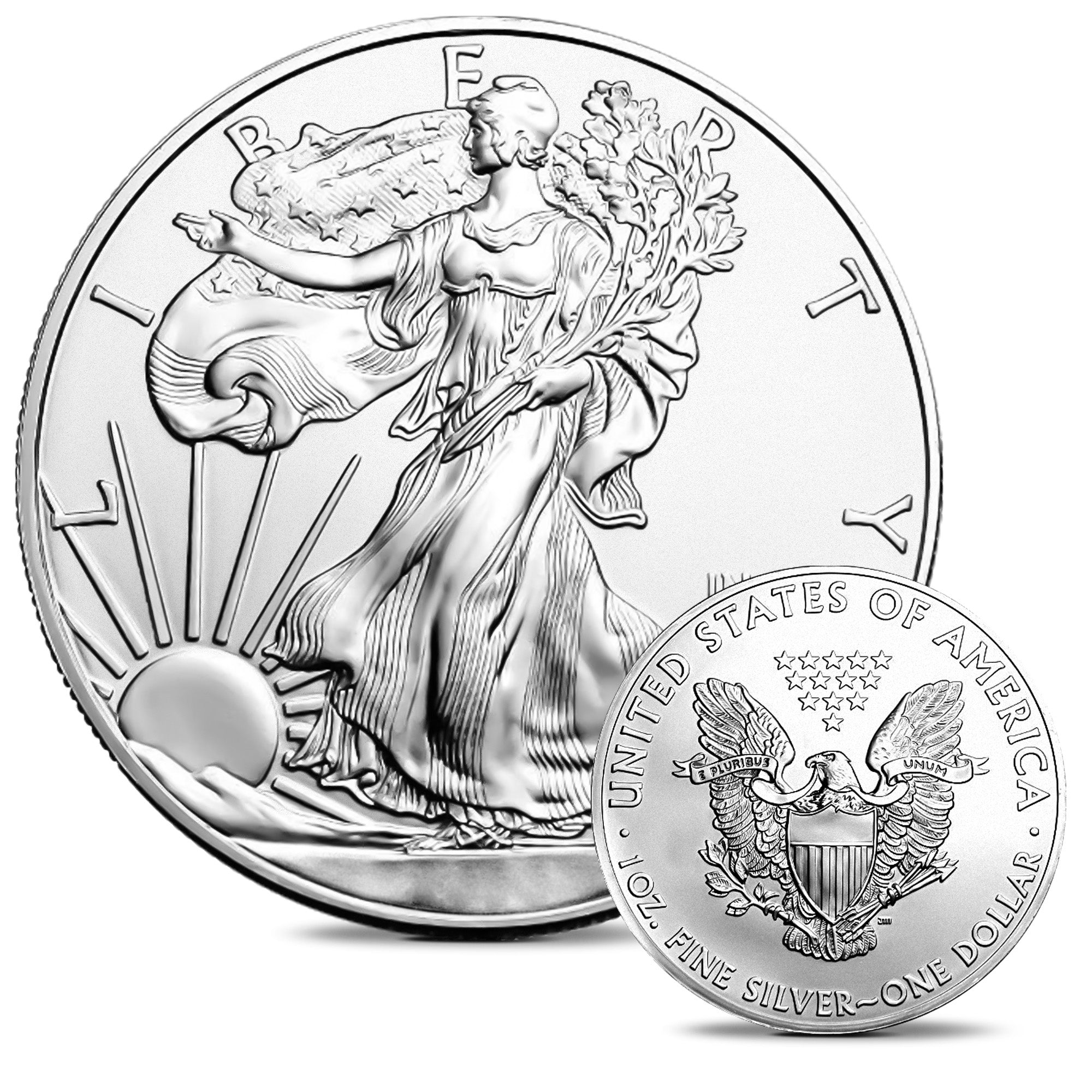 1 oz. Silver American Eagle