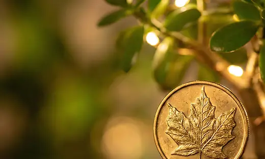 Canada’s Highly Secure Maple Leaf Gold Bullion Coins